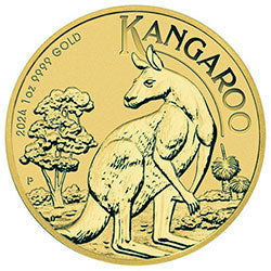 Australian Kangaroo Gold Coin Bezels